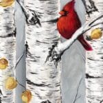 Cardinal in Birches